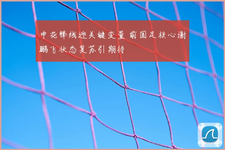 申花锋线迎关键变量 前国足核心谢鹏飞状态复苏引期待