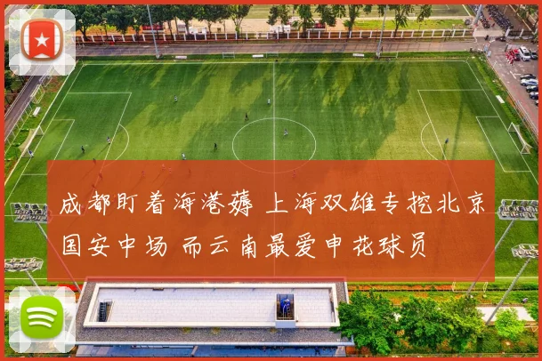 成都盯着海港薅 上海双雄专挖北京国安中场 而云南最爱申花球员