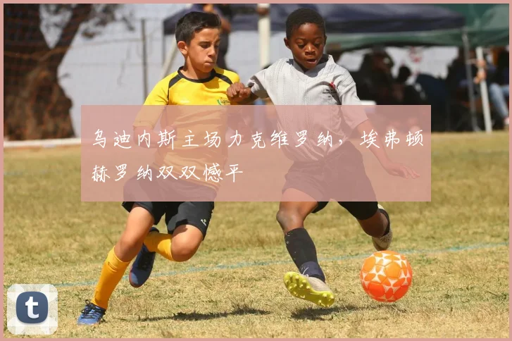 乌迪内斯主场力克维罗纳，埃弗顿赫罗纳双双憾平
