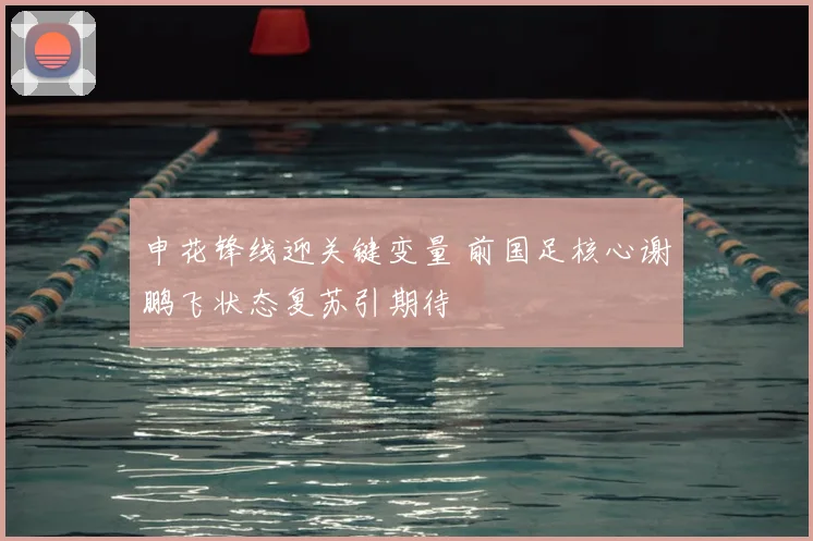 申花锋线迎关键变量 前国足核心谢鹏飞状态复苏引期待