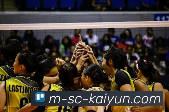 App Interface Preview